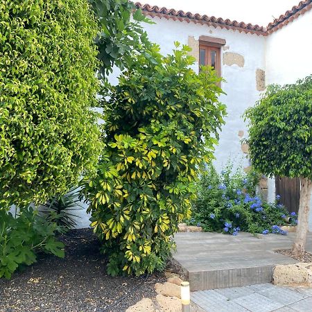 Valle de San Lorenzo Casaruralaronaヴィラ エクステリア 写真